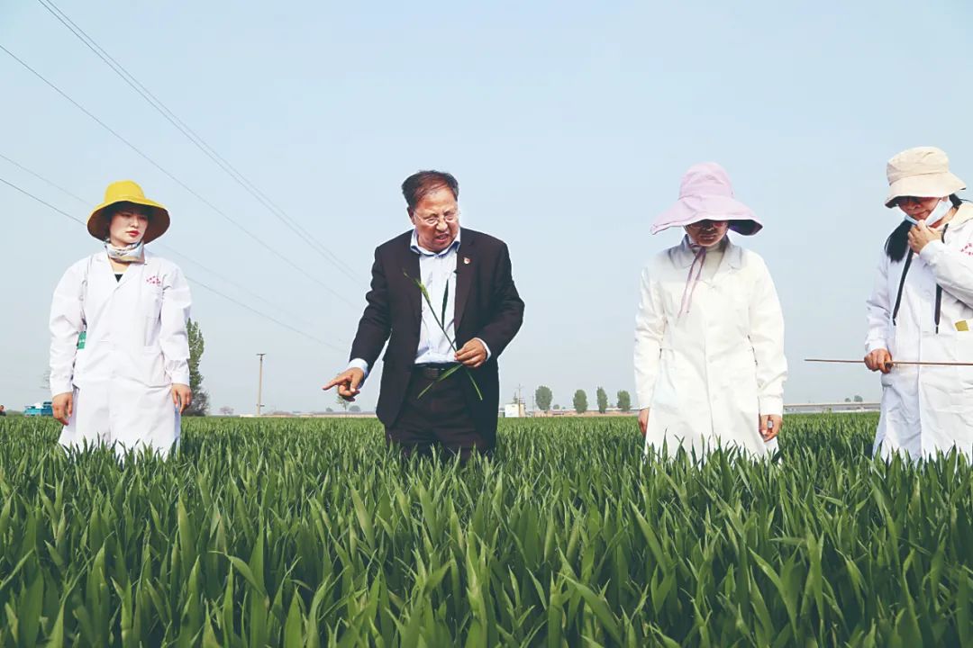 1648777425878694.jpg 微信图片_20220401093842.jpg